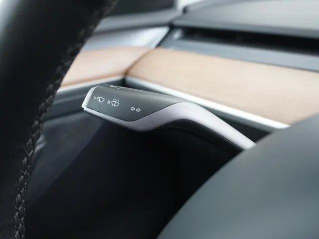 Tesla Model Y Performance AWD 75 kWh 2022 Elektrisch 28