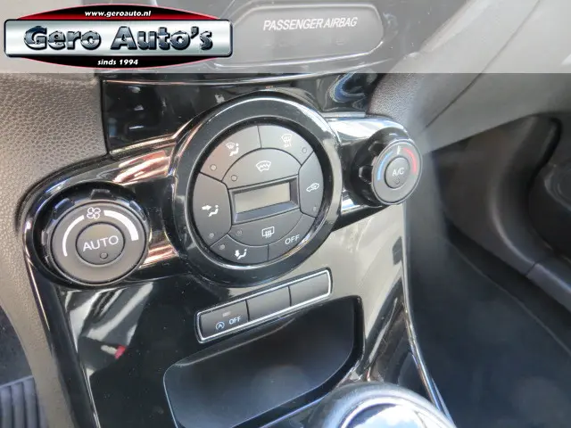 Ford Fiesta 1.0 Titanium 5 deurs 2015 Benzine 7