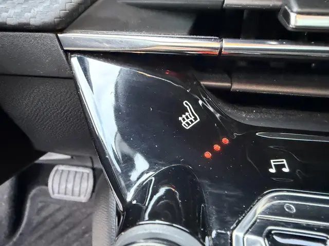 Peugeot 208 1.2 PureTech 2020 Benzine 21