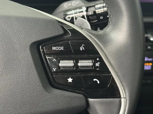 Kia Niro EV DynamicLine 64.8 kWh 2022 Elektrisch 17