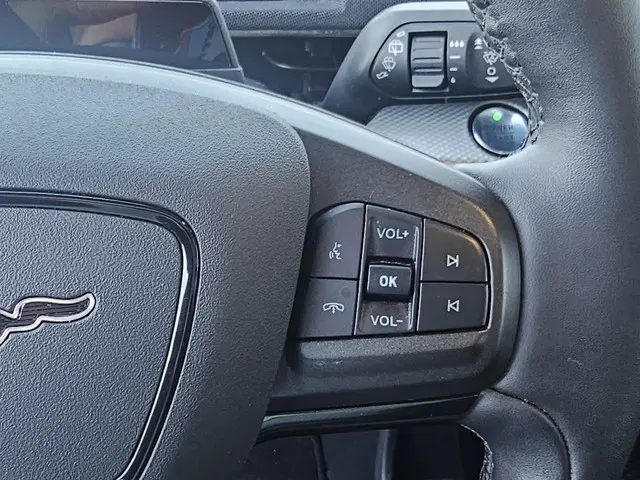 Ford Mustang Mach-E RWD 75 kWh 2021 Elektrisch 17