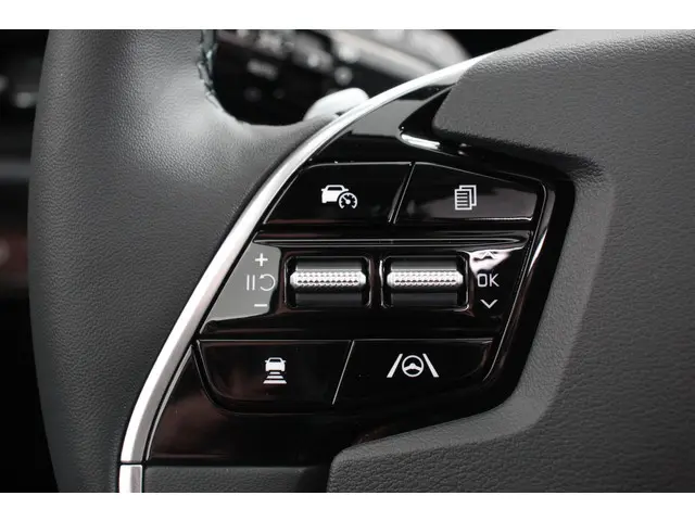 Kia Niro EV DynamicPlusLine 64.8 kWh 2023 Elektrisch 18