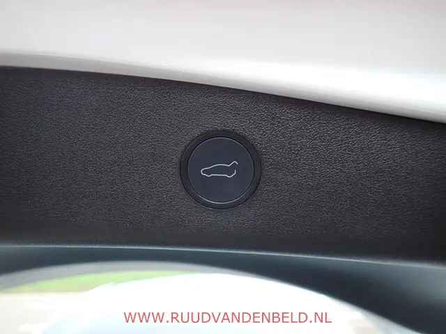 Tesla Model 3 Long Range AWD 2020 Elektrisch 10