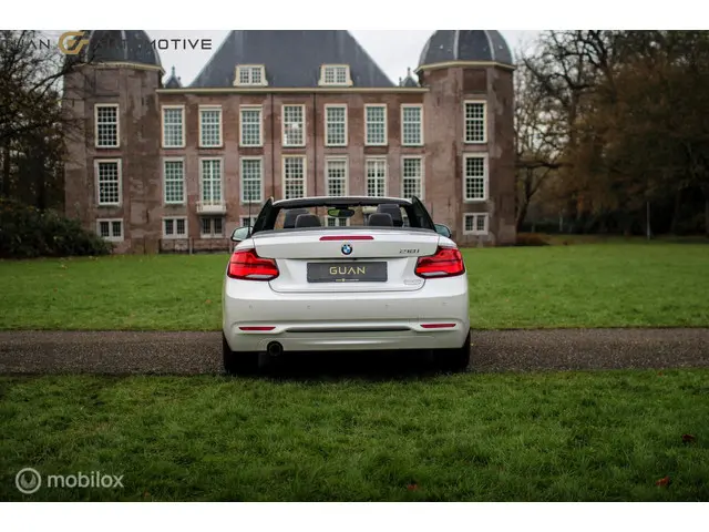 BMW 2 Serie Cabrio | 2018 Benzine 4