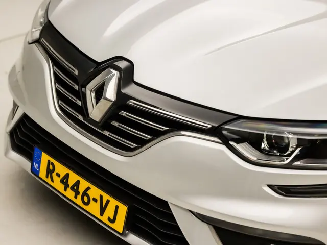 Renault Mégane 1.2 TCe Limited Sport 2018 Benzine 30