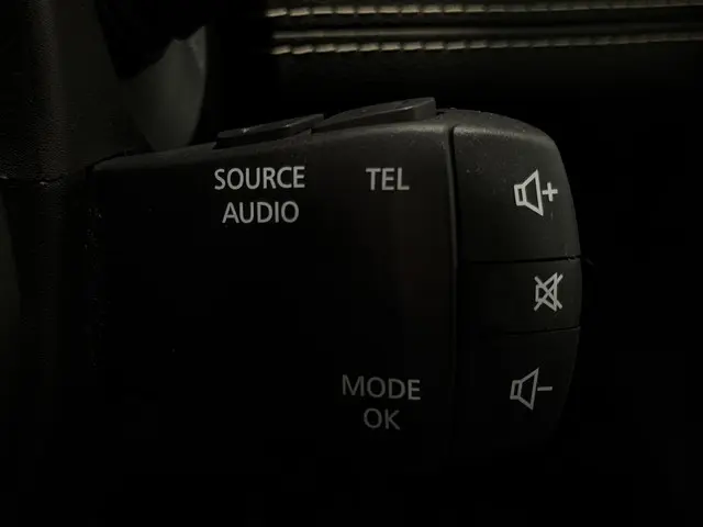 Renault Scénic 1.3 TCe 160 EDC Bose 2018 Benzine 38