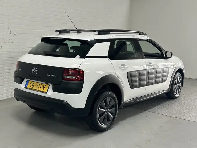 Citroën C4 Cactus 1.6 BlueHDi Business 2015 Diesel 12