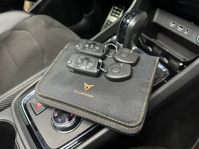 CUPRA Ateca 2.0 TSI 4DRIVE 2020 2020 Benzine 22