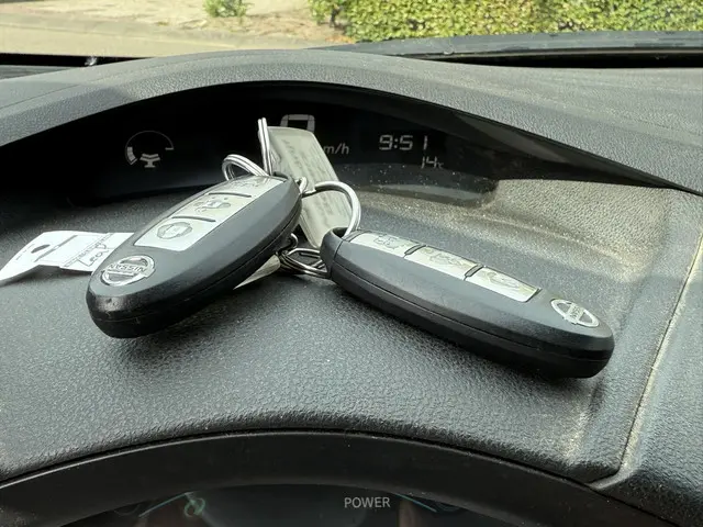 Nissan Leaf TEKNA 2016 Elektrisch 19