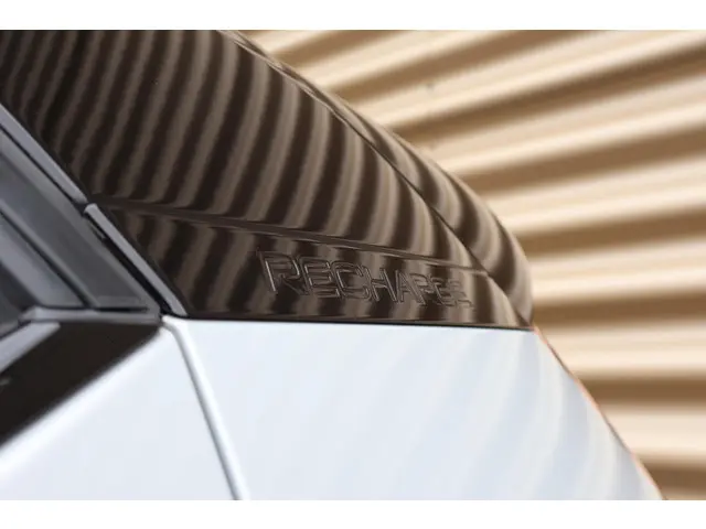 Volvo XC40 Recharge Plus 2022 Elektrisch 10