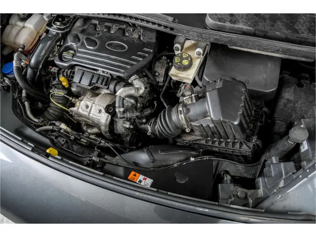 Ford Transit Connect 1.5 EcoBlue L1 Trend 2019 Diesel 40