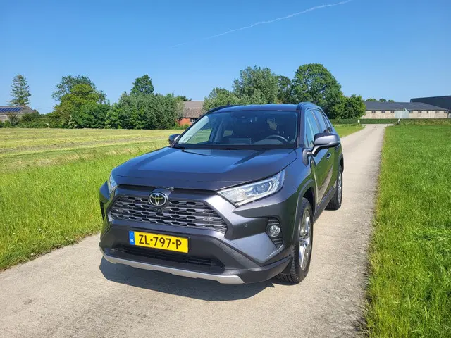 Toyota RAV4 2.0 VVT-iE Executive 2019 Benzine 32