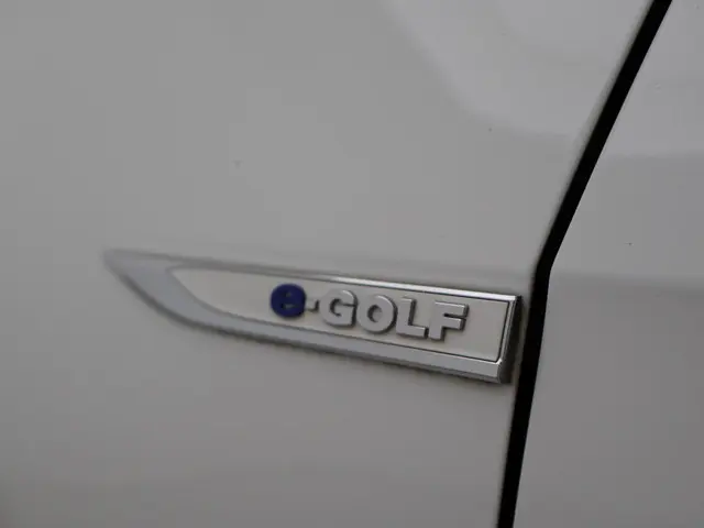 Volkswagen e-Golf E-DITION 2020 Elektrisch 14