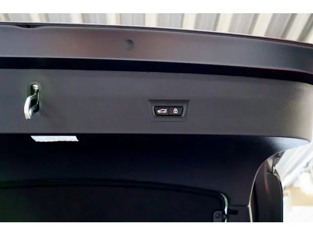 BMW X4 xDrive20i High Ex M Sport|FROZEN BL 2022 Benzine 19