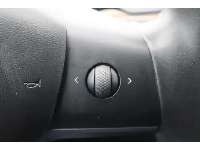 Tesla Model 3 Long Range AWD 75 kWh 2019 Elektrisch 24