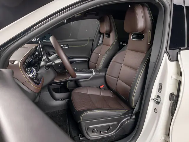 Smart #3 Premium 66 kWh 2025 Elektrisch 7