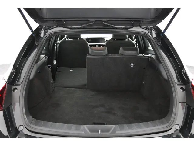 Lexus UX 300e Business 54 kWh 2020 Elektrisch 24