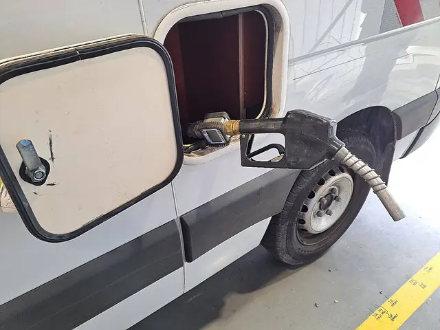 Renault Master 2.3 2019 Diesel 17