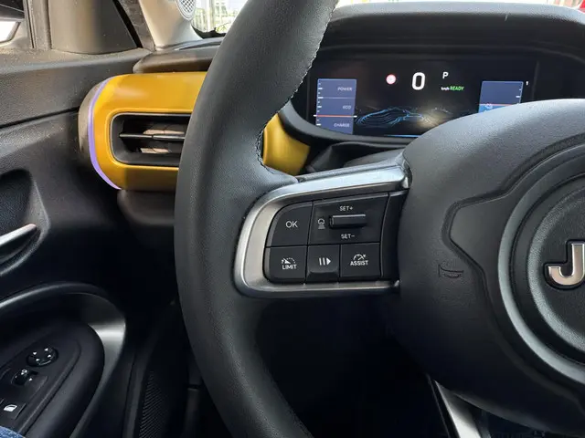 Jeep Avenger 1st Edition 54 kWh 2023 Elektrisch 36