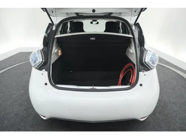 Renault ZOE R110 Limited 41 kWh 2018 Elektrisch 52
