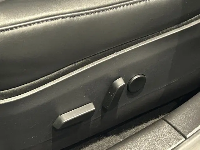 Tesla Model 3 Standard RWD Plus 60 kWh 2020 Elektrisch 16