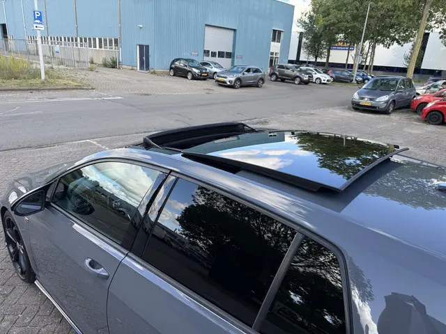 Volkswagen Golf 2.0 TSI GTI TCR 2019 Benzine 31