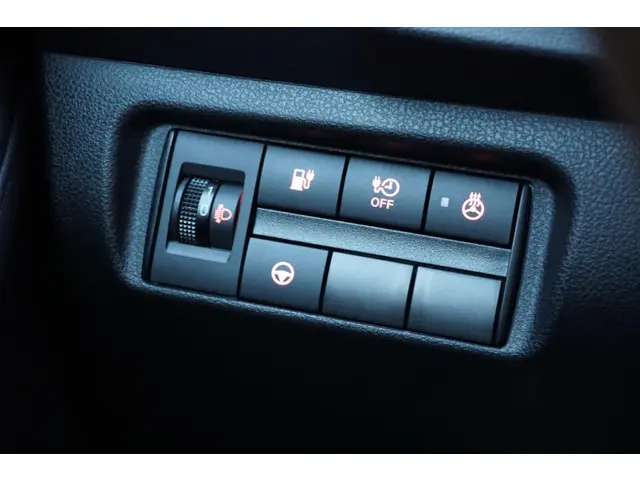 Nissan Leaf Tekna 39 kWh 2024 Elektrisch 33