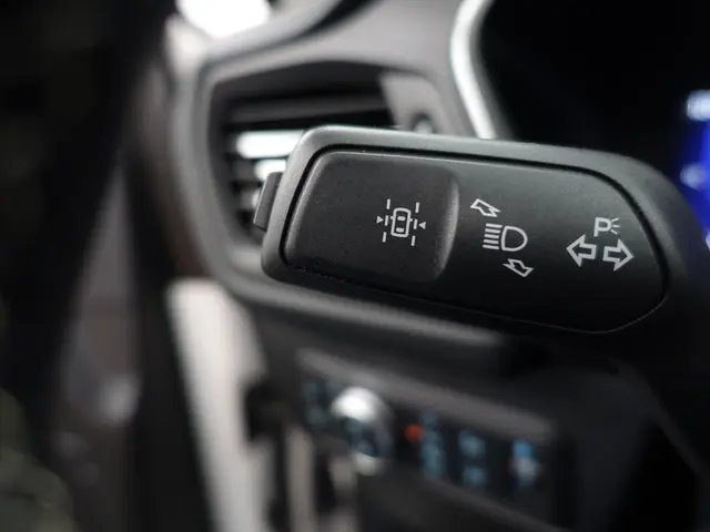 Ford Kuga 2.5 PHEV Vignale Aut- 2021 Hybride Benzine 24