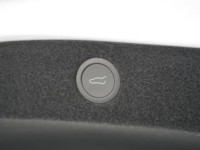 Tesla Model 3 RWD 60 kWh 2024 Elektrisch 12