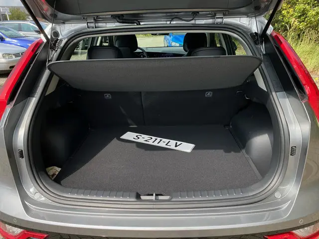 Kia Niro EV DynamicLine 64.8 kWh 2023 Elektrisch 10
