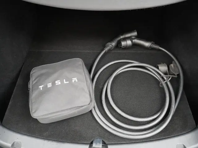 Tesla Model Y Performance AWD 75 kWh 2022 Elektrisch 11