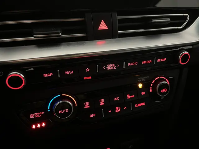 Kia e-Niro Edition 64 kWh 2021 Elektrisch 12