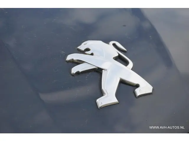 Peugeot 308 SW 1.2 e-THP Première 2014 Benzine 9