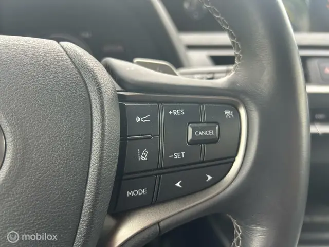 Lexus UX 300e Luxury 54 kWh 2020 Elektrisch 11