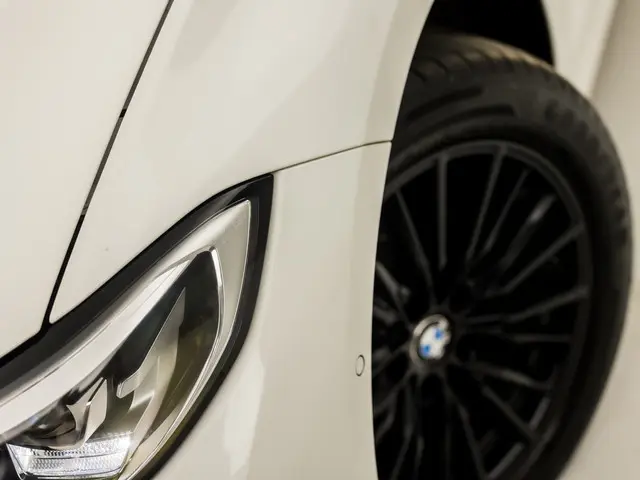 BMW 3 Serie Touring 318i Sportline 2021 Benzine 15