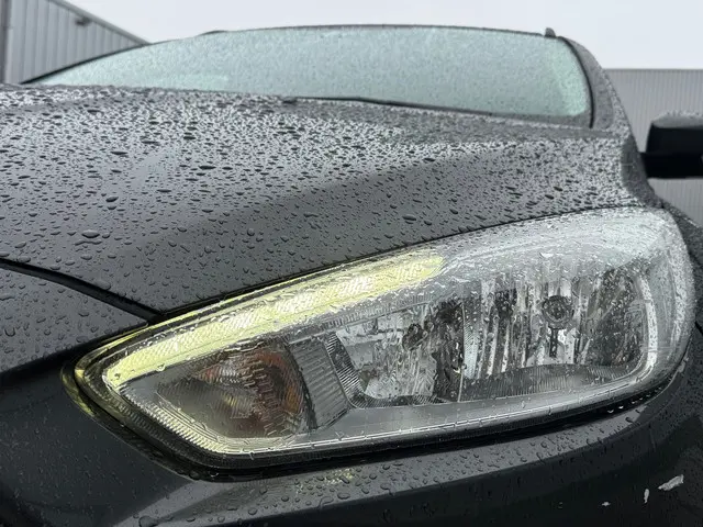 Ford Focus Wagon 1.5 TDCI Trend Edition 2016 Diesel 19