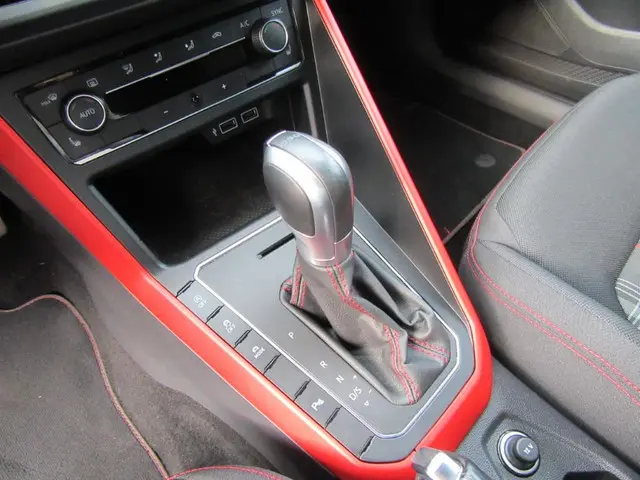 Volkswagen Polo 2.0 TSI GTI 2019 Benzine 52