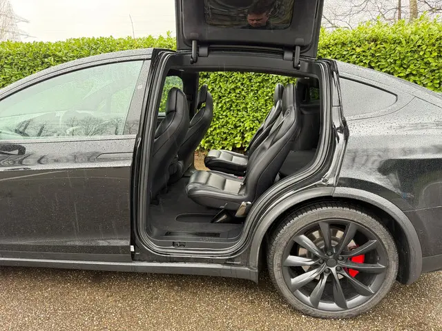 Tesla Model X 100D 6p. 2018 Elektrisch 4