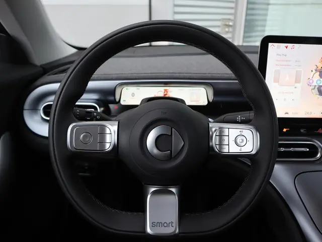 Smart #1 Pure+ 66 kWh 2025 Elektrisch 11