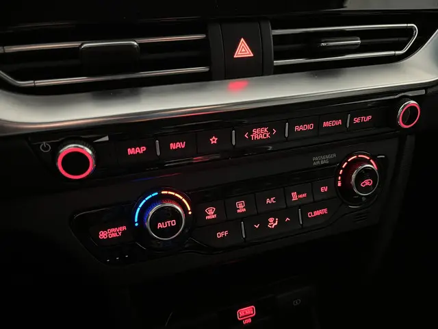 Kia e-Niro DynamicPlusLine 64 kWh 2021 Elektrisch 13