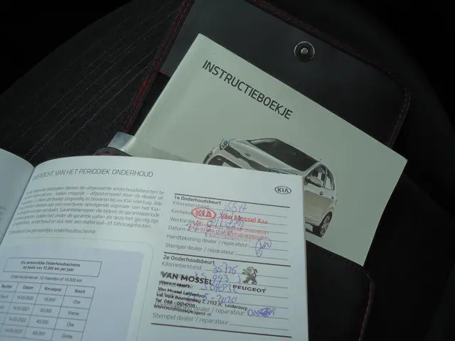 Kia Picanto 1.0 CVVT EconomyPlusLine 2019 Benzine 13