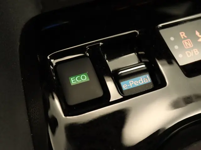 Nissan Leaf e+ Tekna 62 kWh 2019 Elektrisch 40