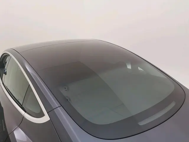 Tesla Model 3 Standard RWD Plus 60 kWh 2020 Elektrisch 9