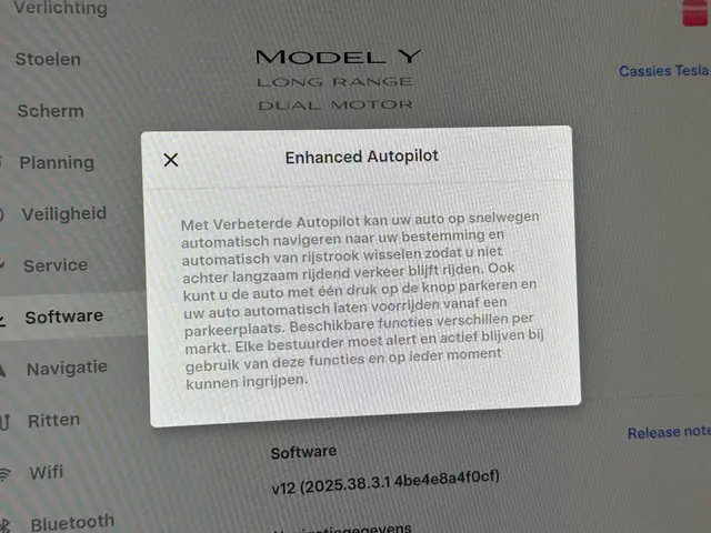 Tesla Model Y Long Range AWD 75 kWh 2023 Elektrisch 41