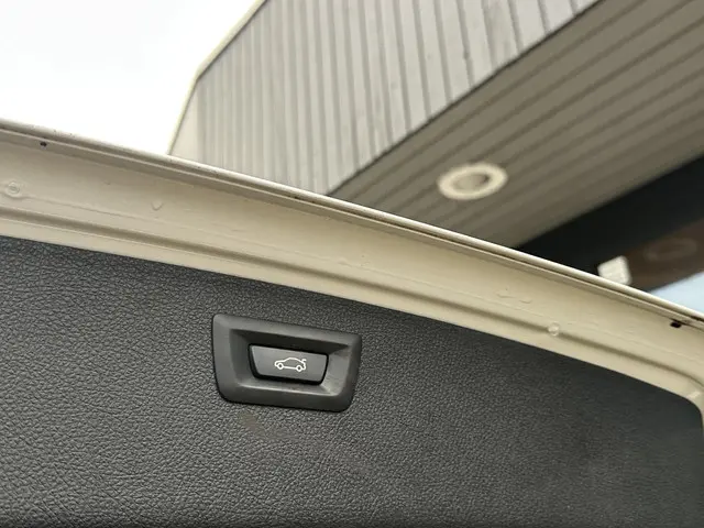 BMW 3 Serie Touring 316i High Executive 2015 Benzine 11