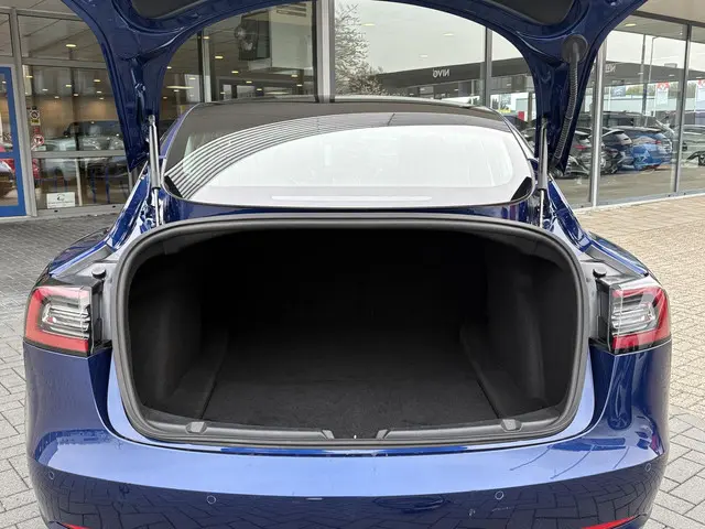 Tesla Model 3 Standard RWD Plus 60 kWh 2020 Elektrisch 10