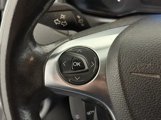 Ford Transit 350 2.0 TDCI L3H3 Trend EUVI 2020 Diesel 14