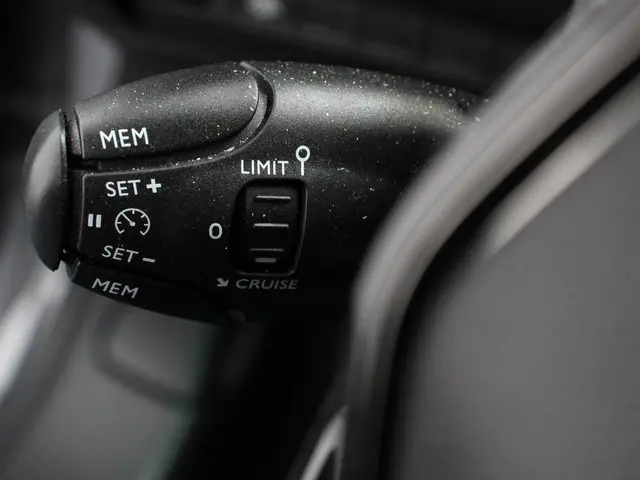 Peugeot 208 1.2 PureTech 100pk Active Pack 2021 Benzine 22