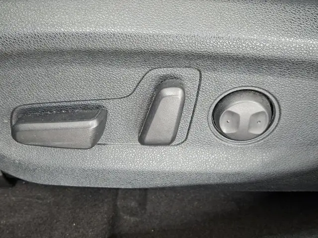 Kia e-Niro ExecutiveLine 64 kWh 2020 Elektrisch 13