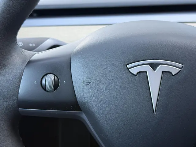 Tesla Model 3 Long Range AWD 75 kWh 2021 Elektrisch 43